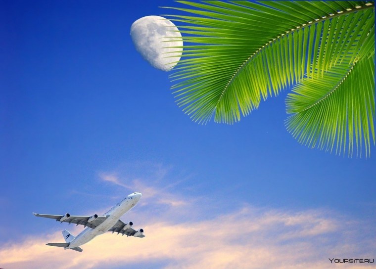 Самолет море пальмы