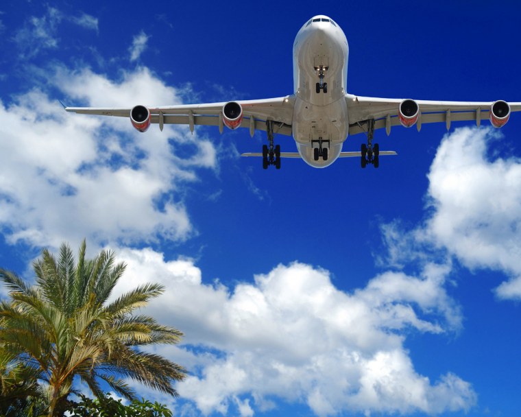 Мияги пальмы самолет