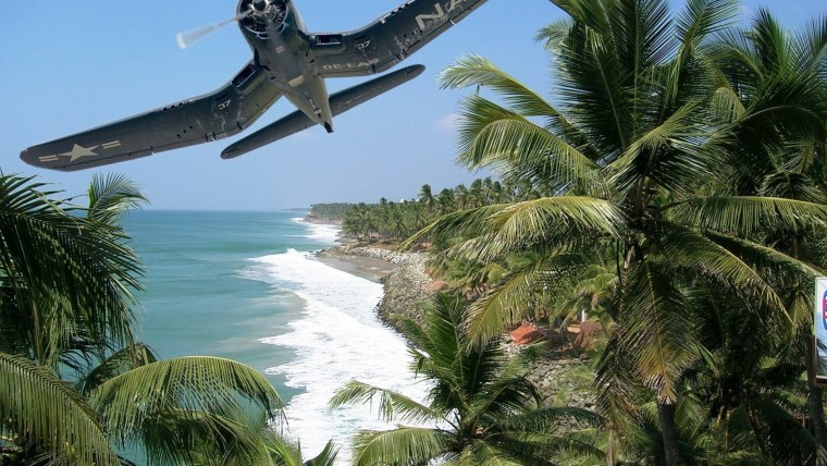 Самолет над пальмой Сочи