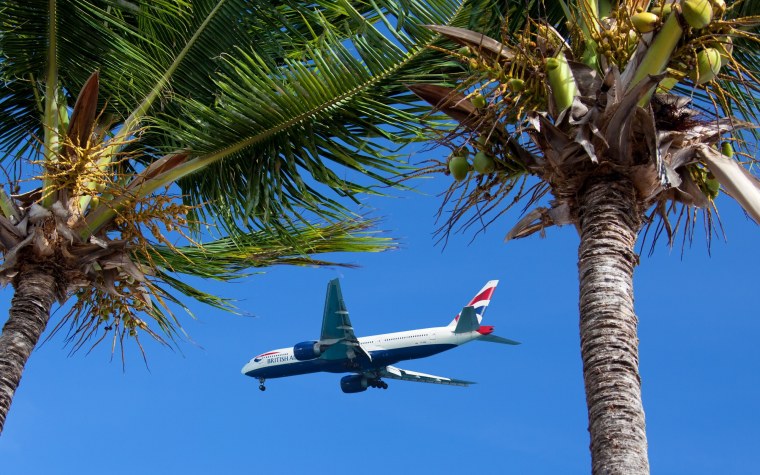 Обои самолет пальмы