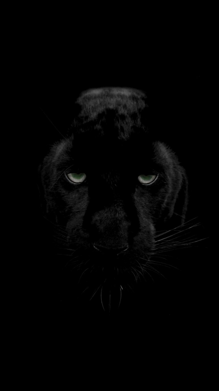 Темные обои