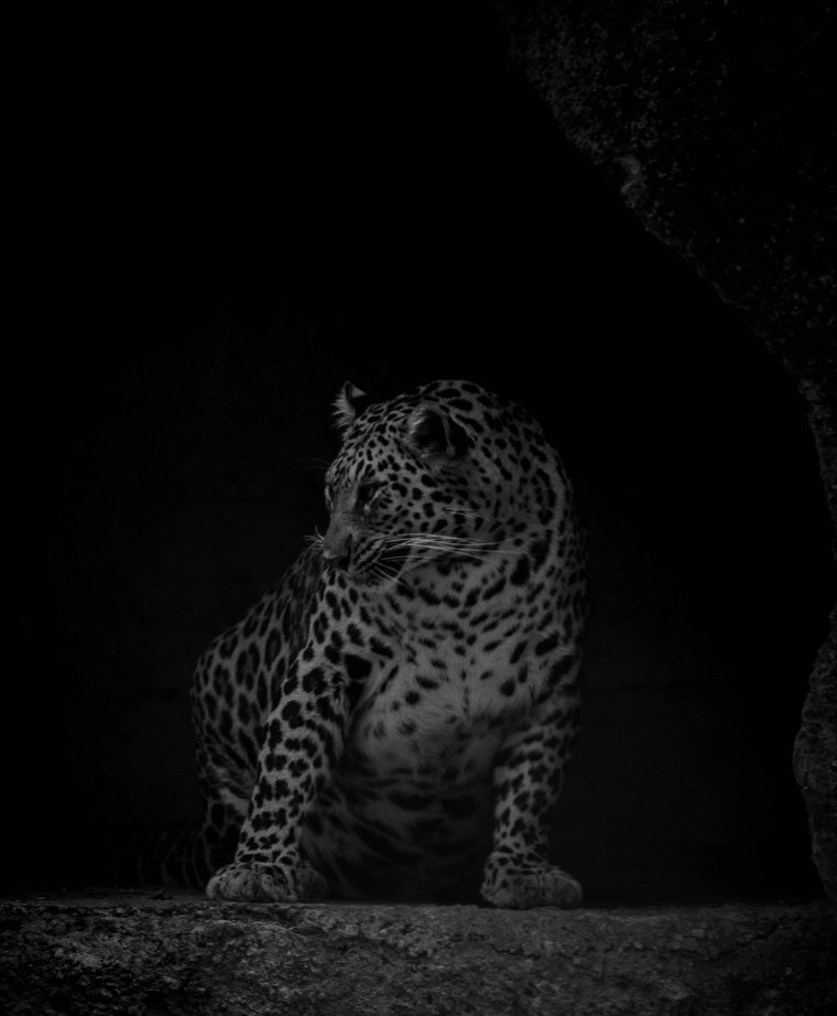 Карбоновый фон