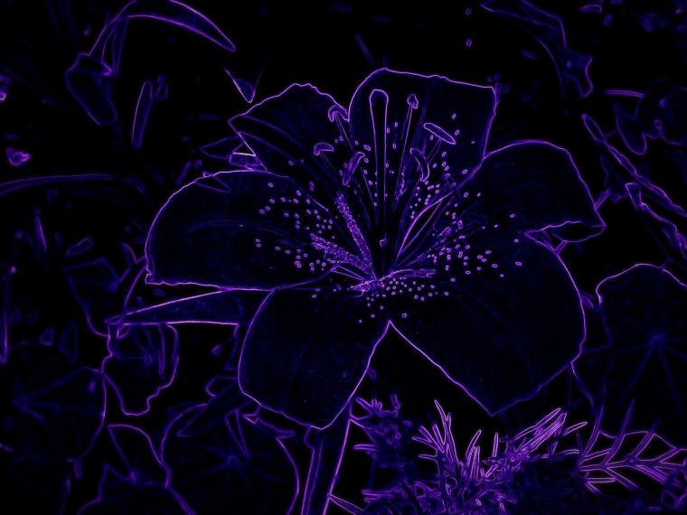 Разноцветный фон