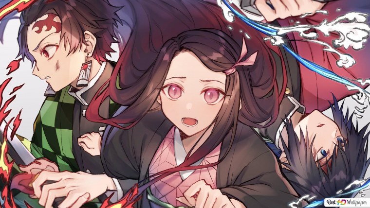 Танджиро Камадо картина по цветам