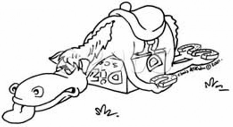 Николь Грэм спасение лошади