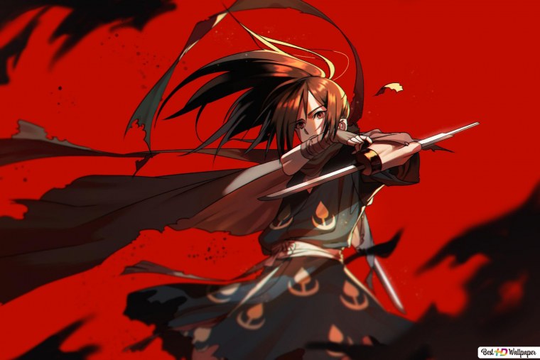 Самурай Дороро аниме