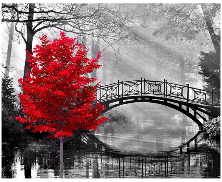 Фотограф Assaf Frank