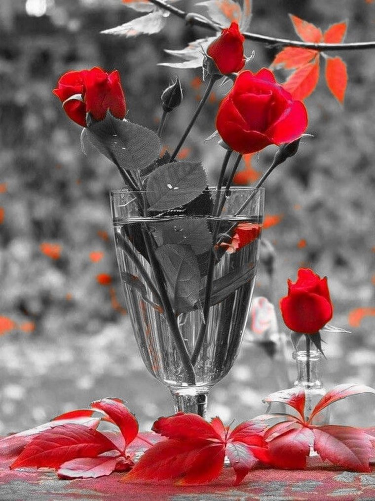 Париж черно белый с красным