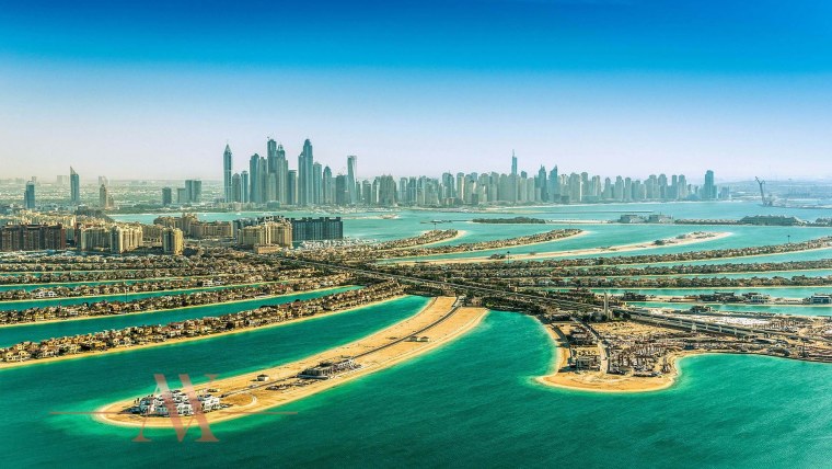 Обои Дубай в интерьере листья