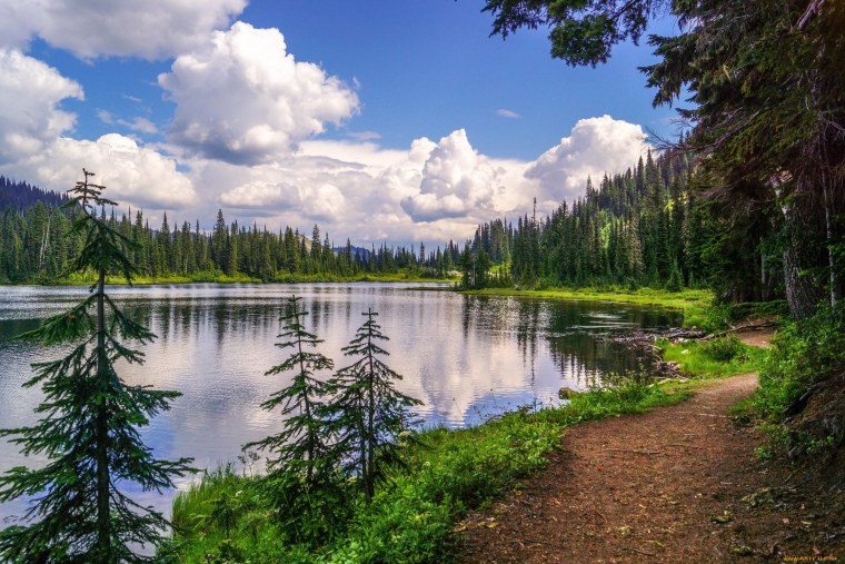 Пинежский заповедник тайги