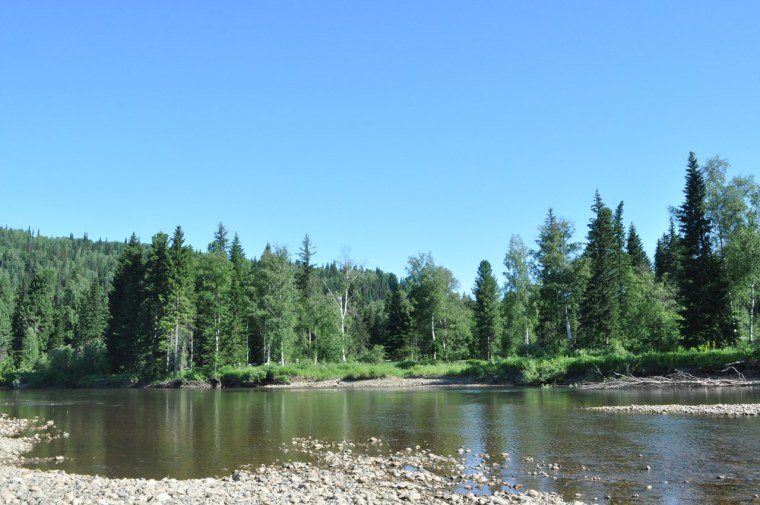 Лесные пейзажи штат Аляска