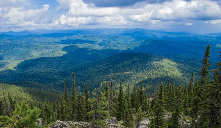 Темнохвойная Тайга Сибирь река