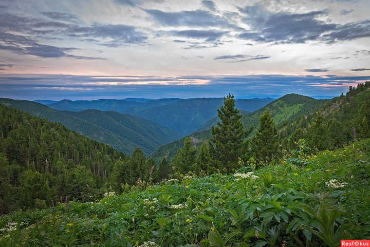 Хакасия Тайга Сибирь