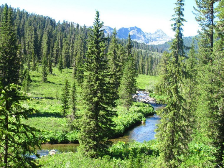 Сибирь Тайга и река