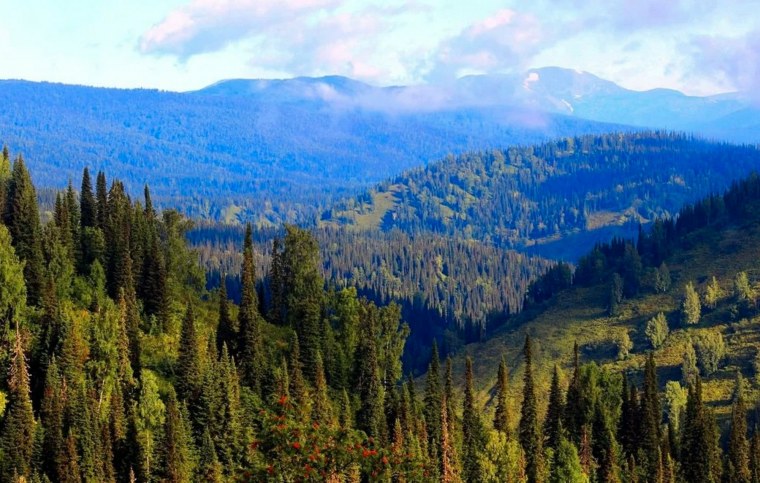 Хакасия Тайга Сибирь