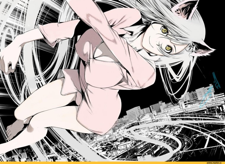 Bakemonogatari Манга