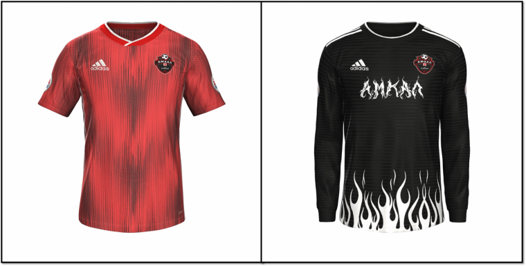 Тема Рыженко АМКАЛ