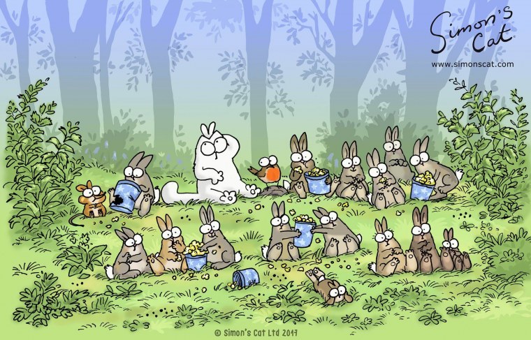 Кот Саймон цветной