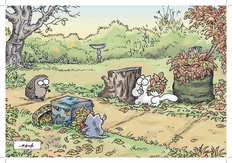 Кот Саймона игра без правил