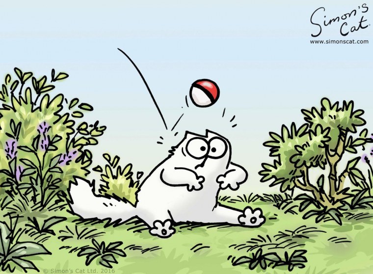 Кот Саймон цветной