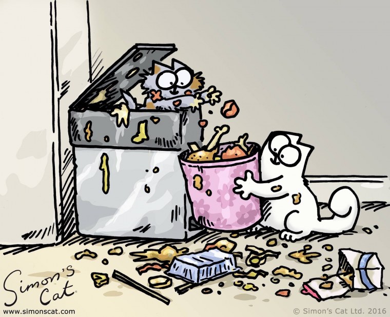 Кот Саймон цветной