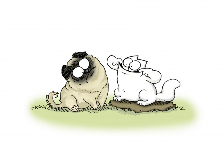 Кот Саймона. 2020