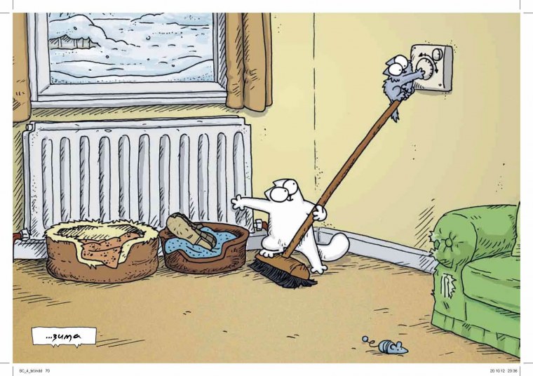 Кот Саймон цветной