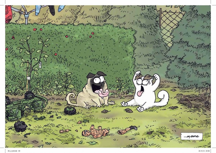 Саймонс Кэт цветной