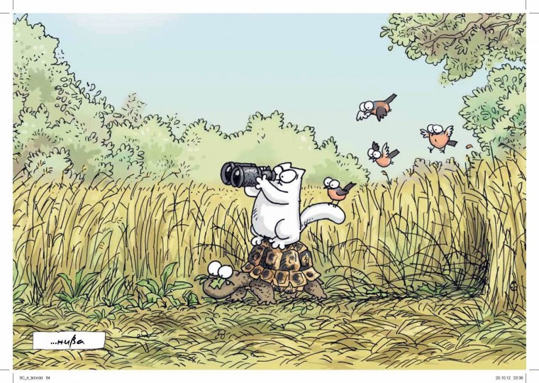 Кот Саймона игра