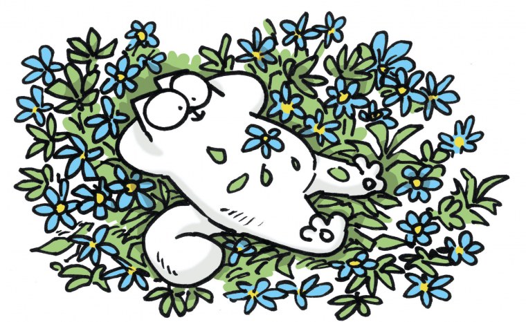 Кот Саймона цветок