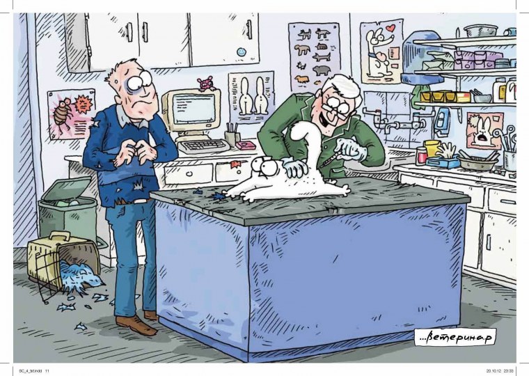 Кот Саймон цветной