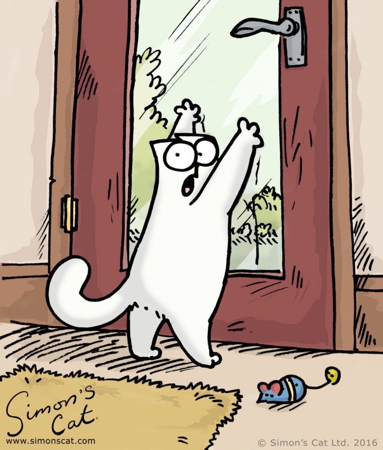 Кот Саймон и котенок