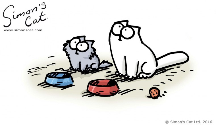 Кот Саймона рисунки