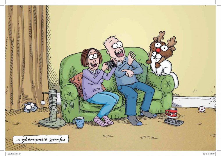 Кот Саймон цветной