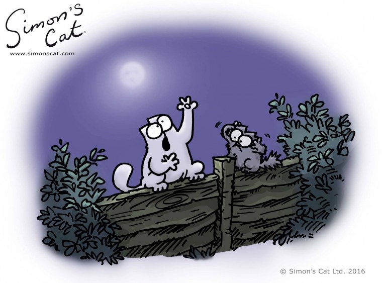 Кот Саймона - Даш