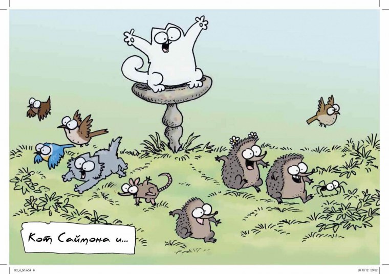 Кот Саймон цветной