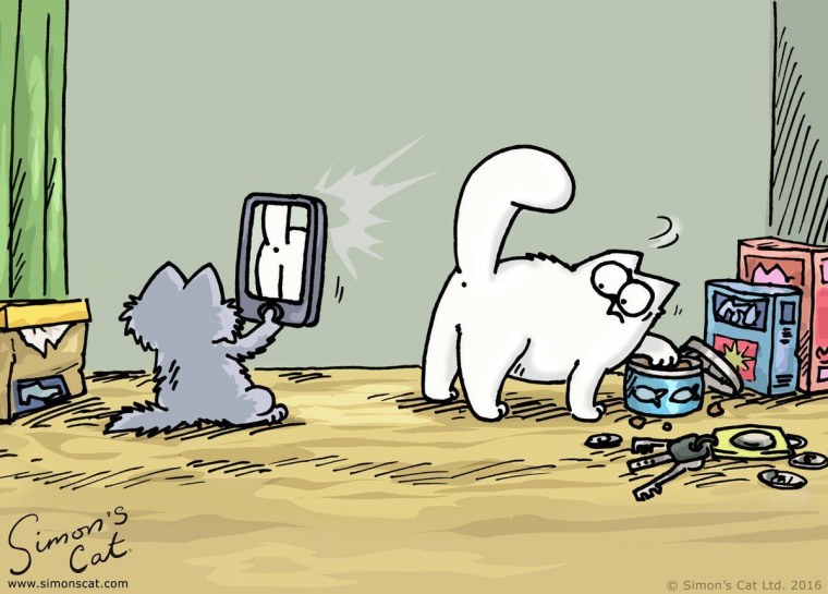 Кот Саймон цветной