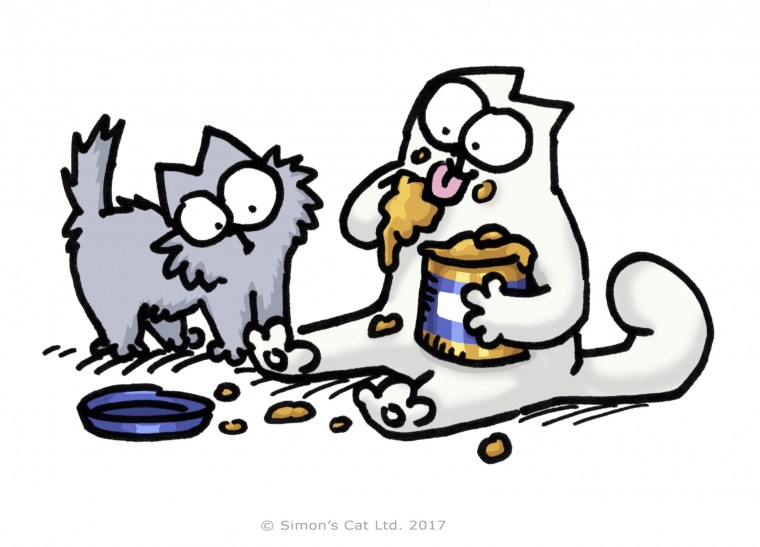 Кот Саймон в цвете