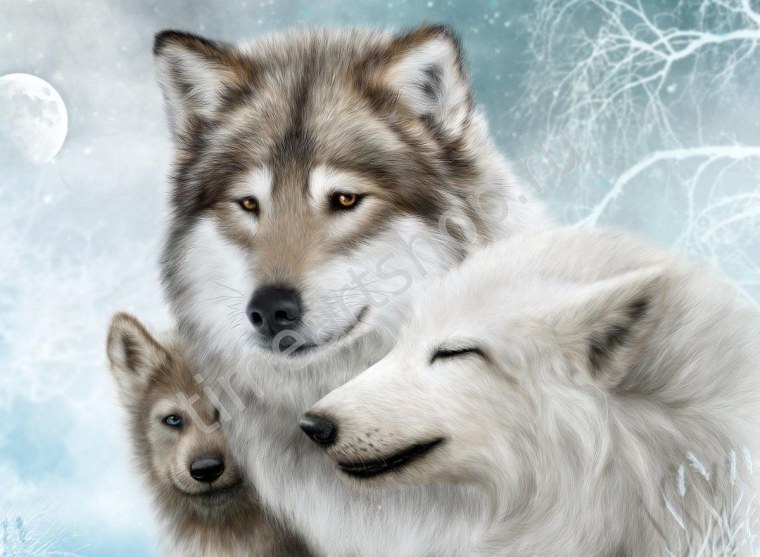 Волки семья