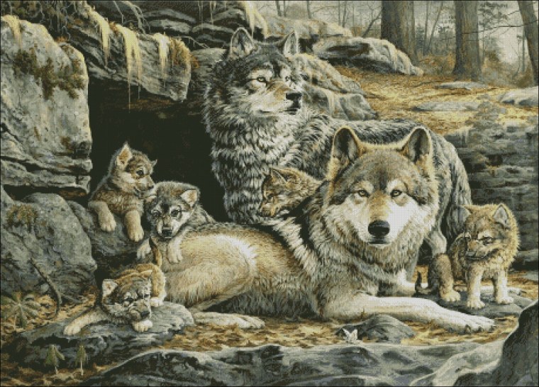 Пазлы волки 1500 деталей