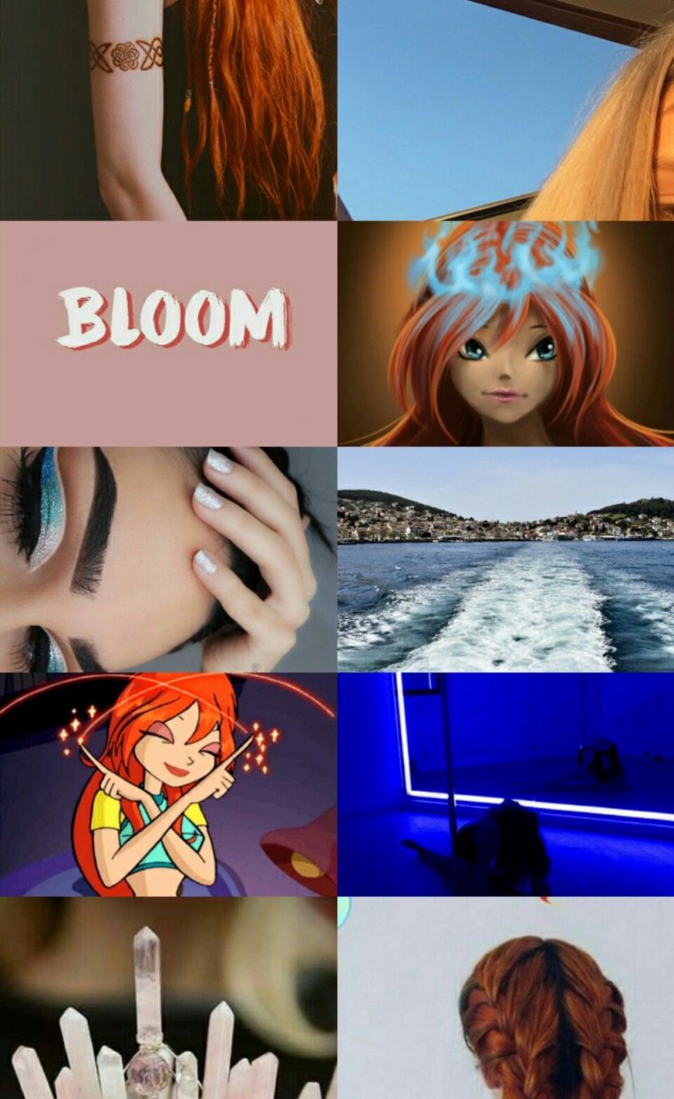 Винкс летающая школа