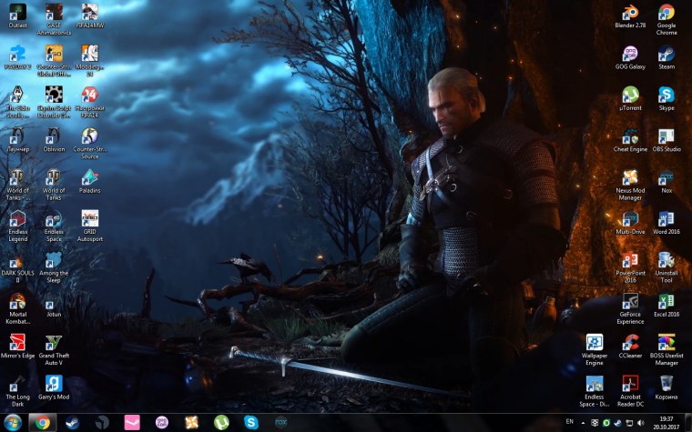 Witcher 3 суккуб