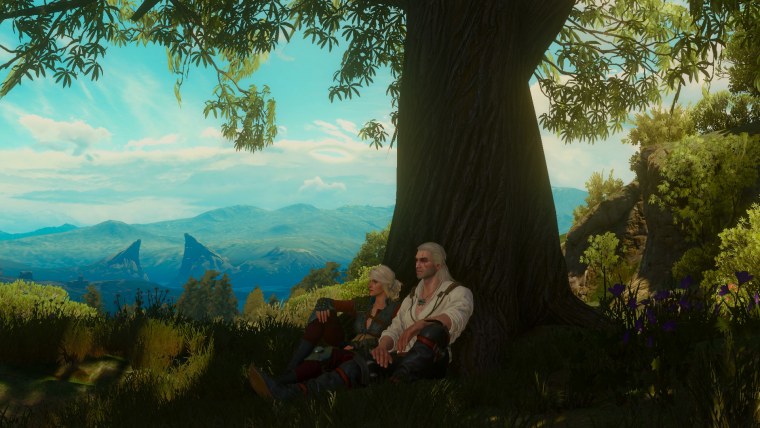 Ведьмак 3: Дикая охота