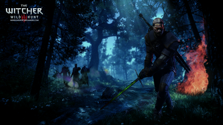 Игра Ведьмак 3 Дикая охота