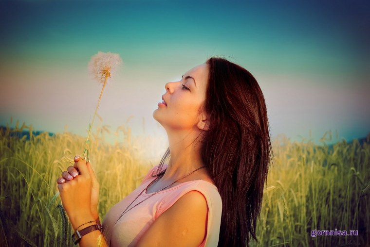 Олень на закате