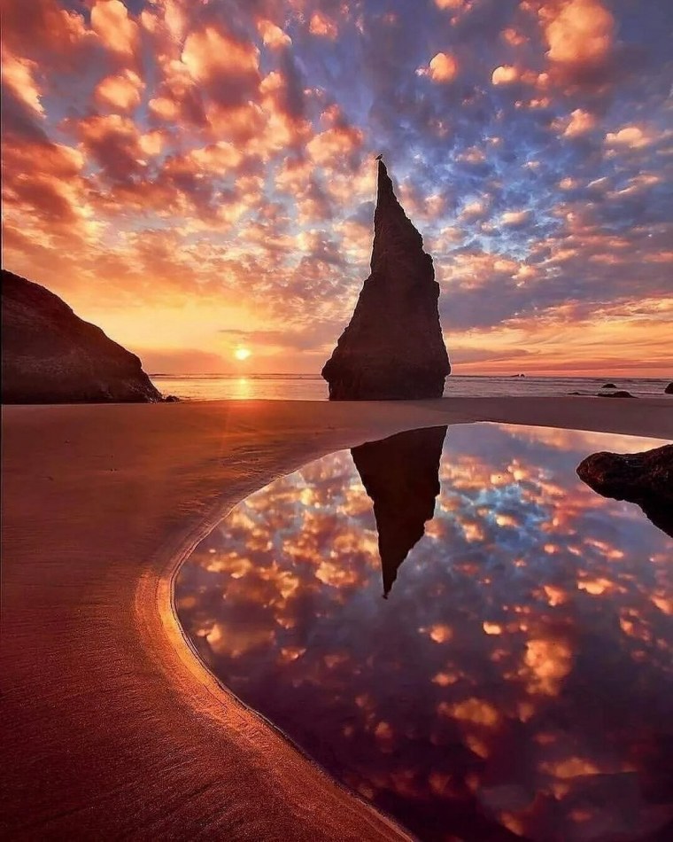 Созерцание природы