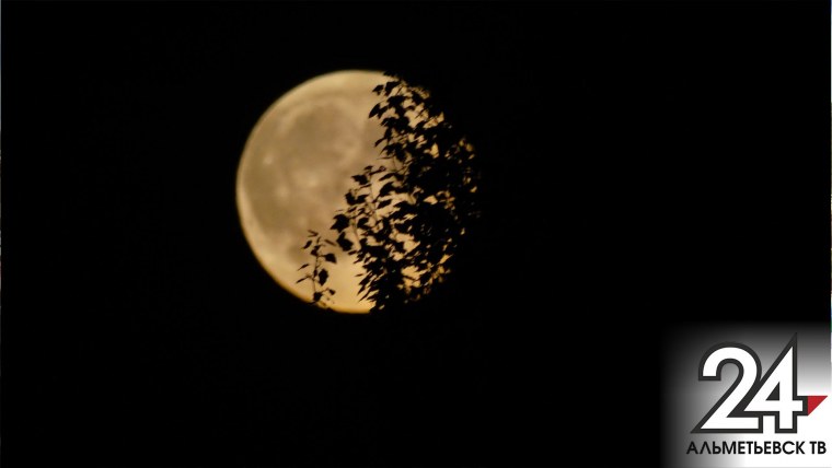 Парные обои от Луны до Марса