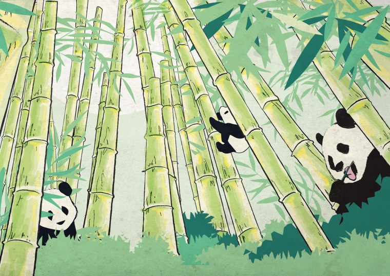 Японская Панда бамбуковая