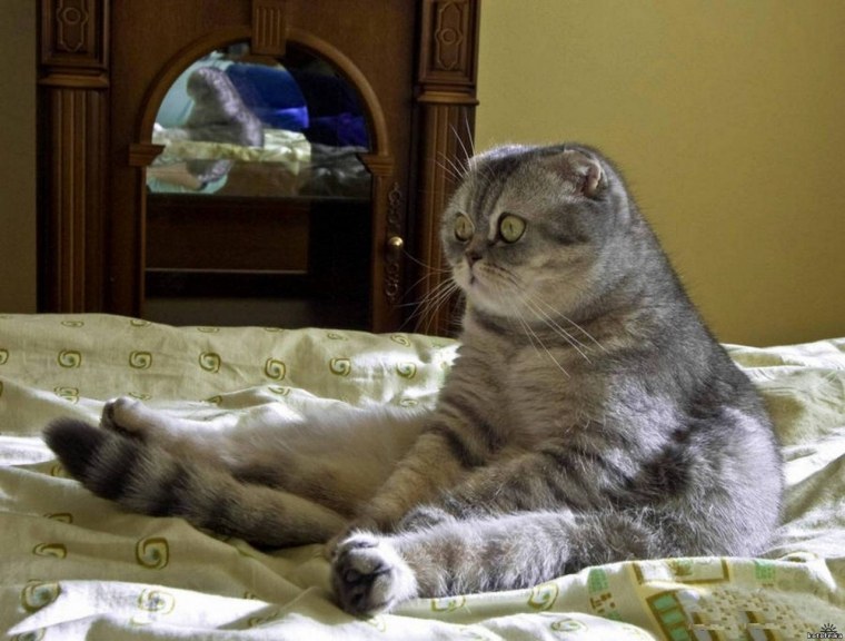 Футурама подозрительный Фрай