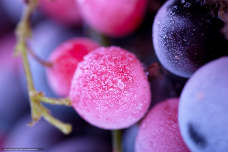 Обои на айфон ягоды